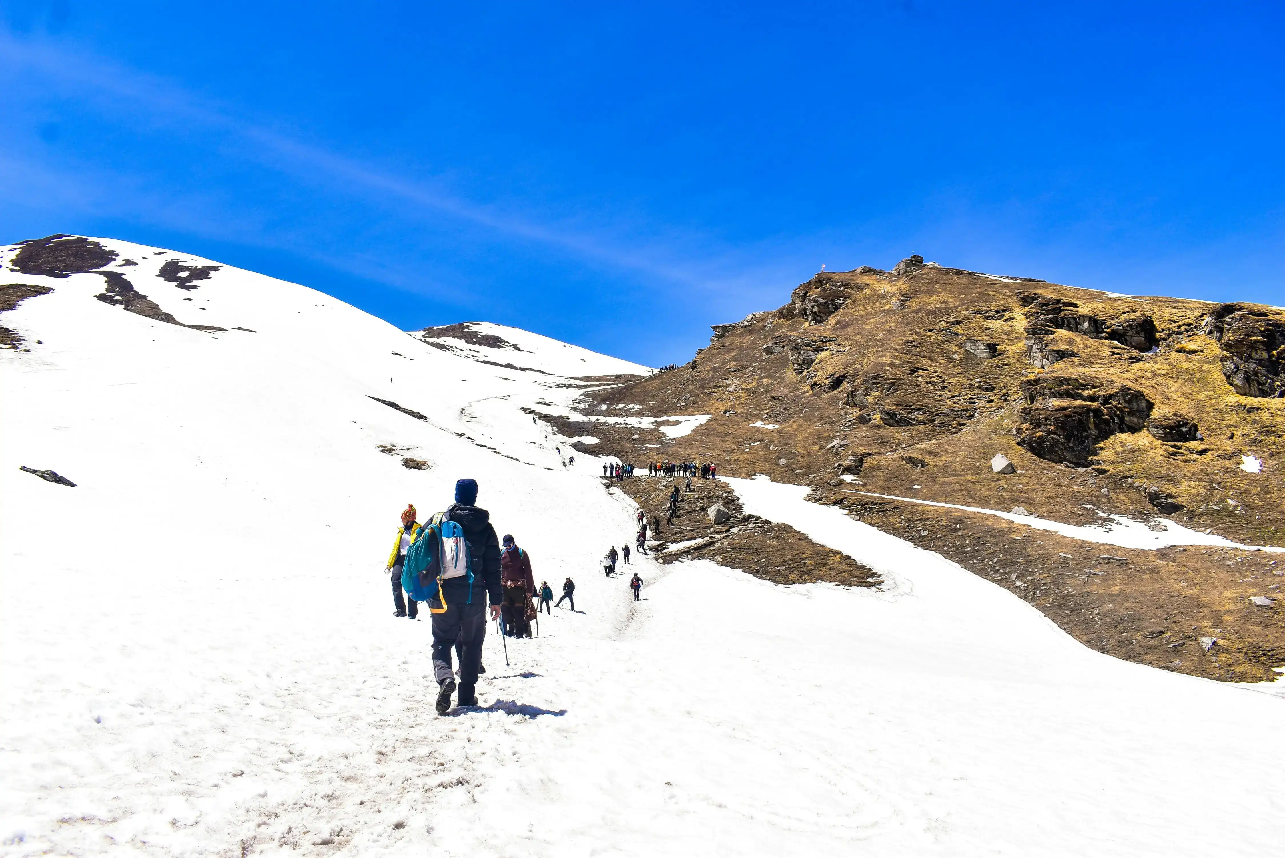 share travel profile to the best collaborator