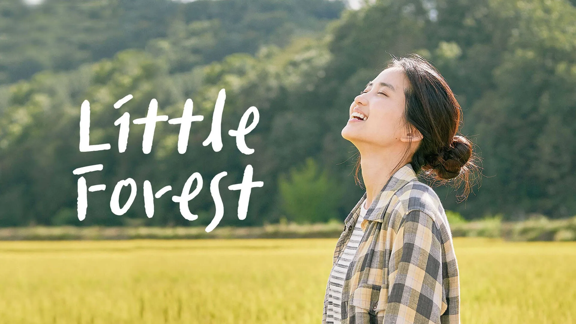 Little Forest (South Korea)