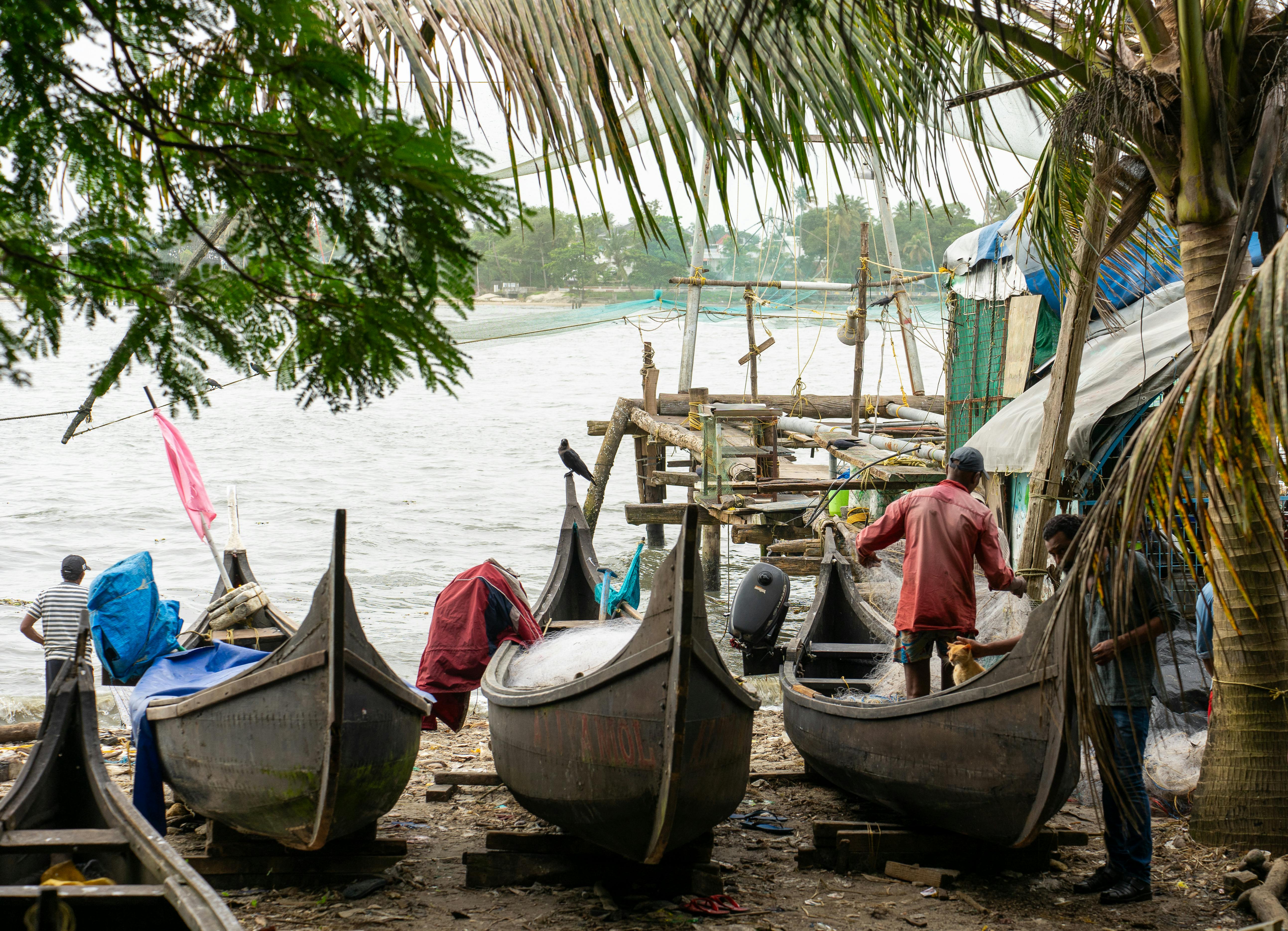 Alleppey Backwaters