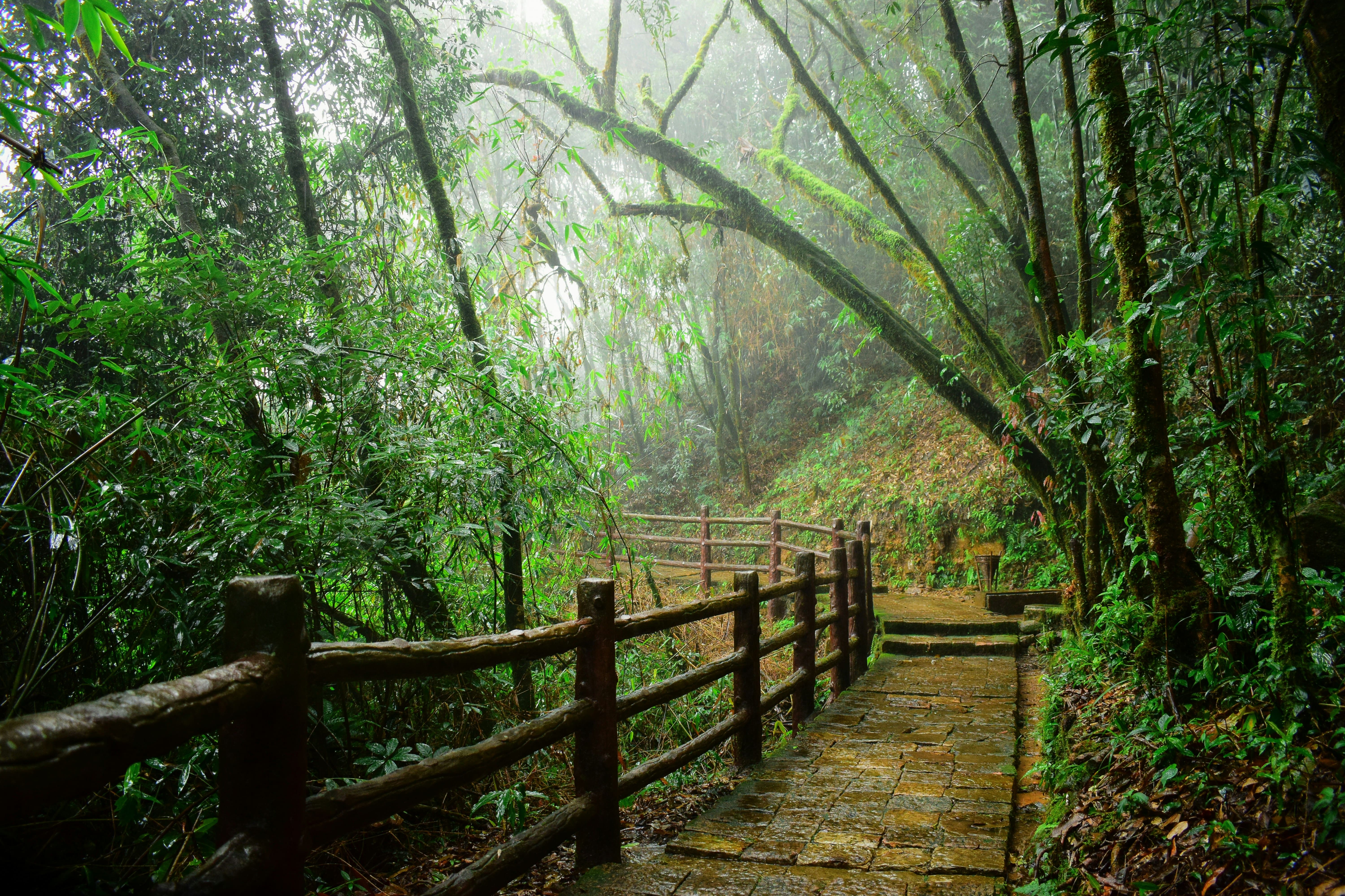 Meghalaya Exploration